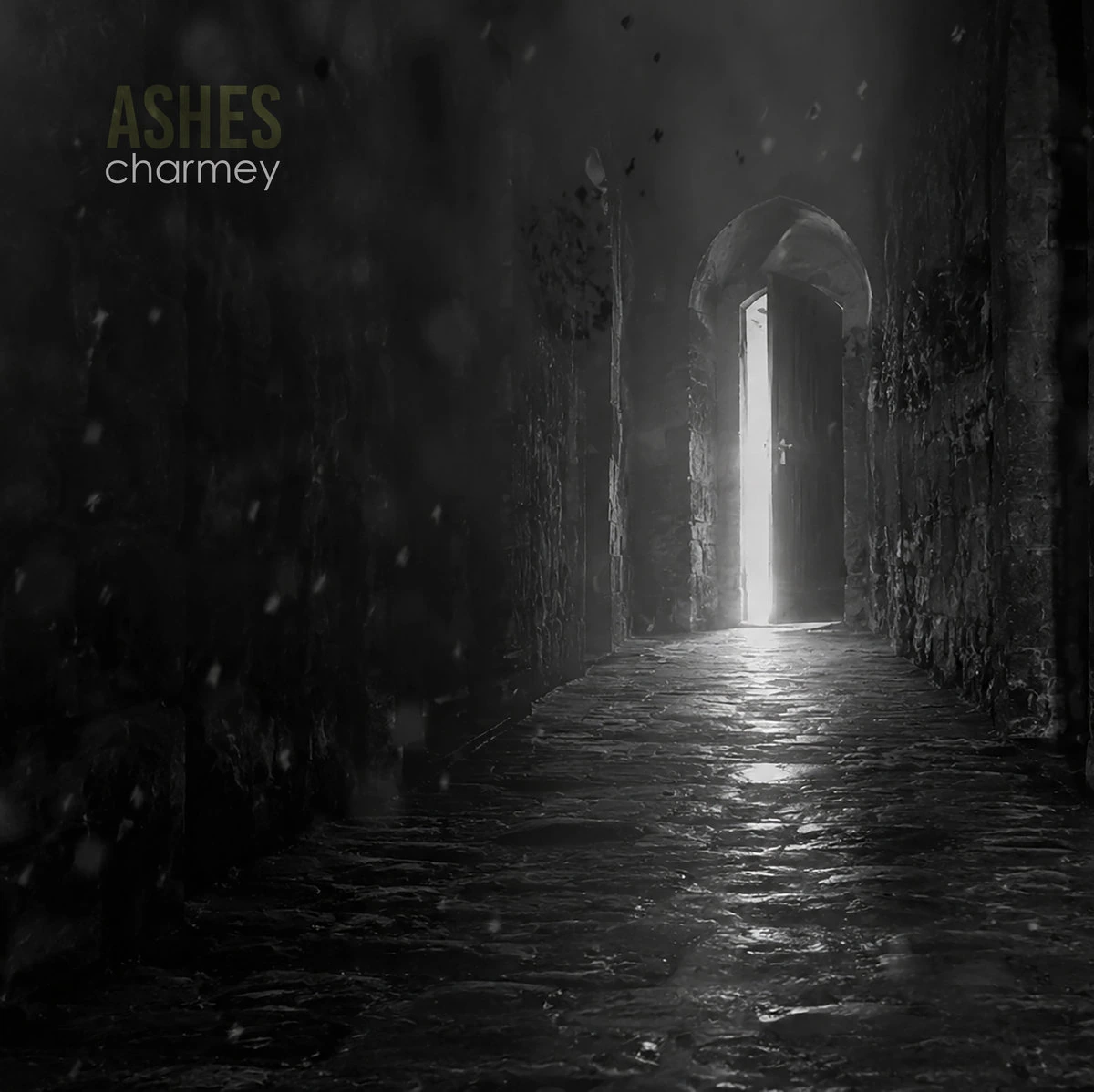 Ashes artwork